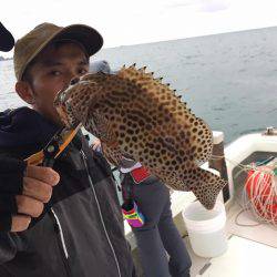 マタウマリンサービス 釣果