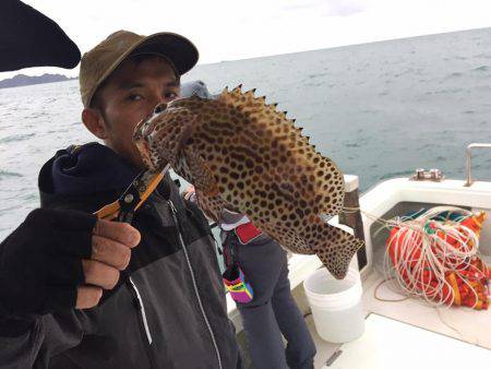 マタウマリンサービス 釣果