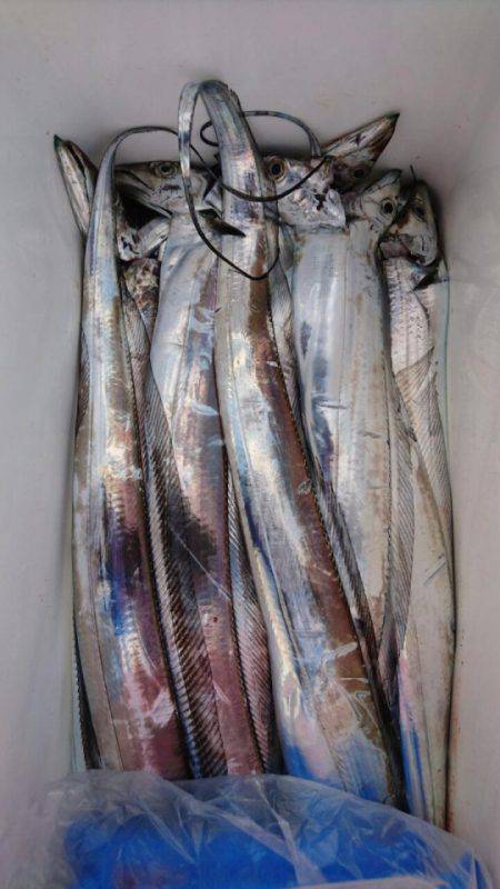 オーフリー 釣果