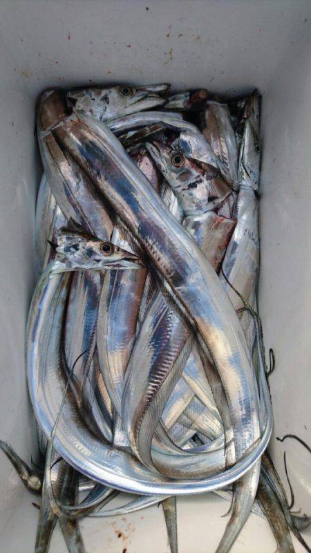 オーフリー 釣果