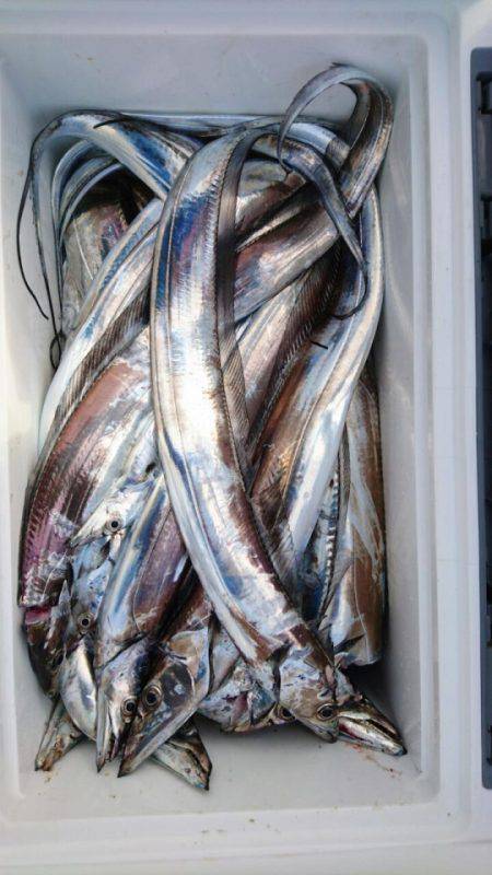 オーフリー 釣果