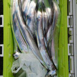 オーフリー 釣果