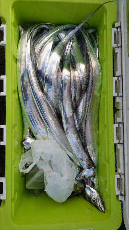 オーフリー 釣果