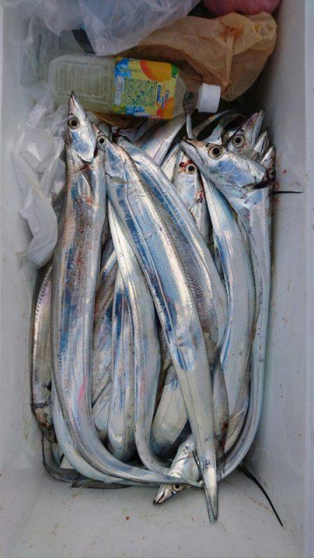 オーフリー 釣果