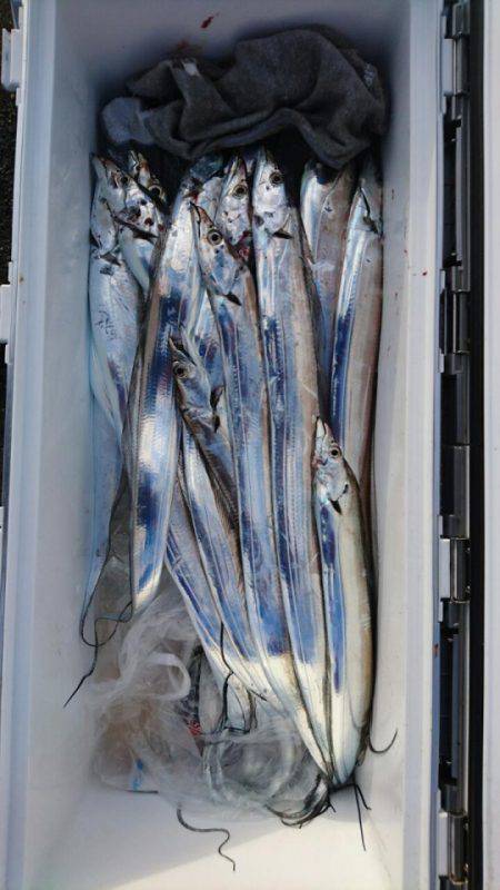 オーフリー 釣果