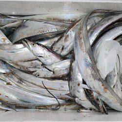 松本釣船2 釣果