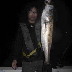 ルアー船マヒマヒ 釣果