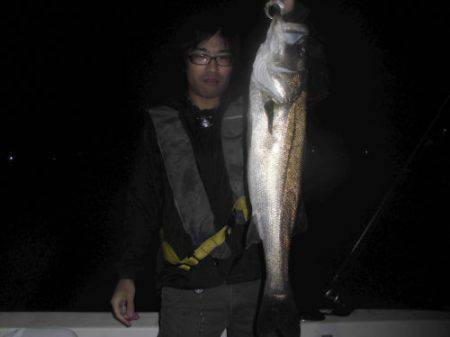 ルアー船マヒマヒ 釣果