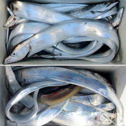 来温丸（らいおんまる） 釣果