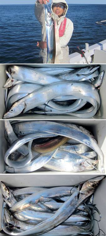 来温丸（らいおんまる） 釣果