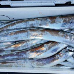 オーフリー 釣果