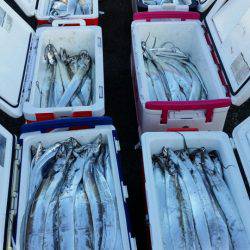 オーフリー 釣果