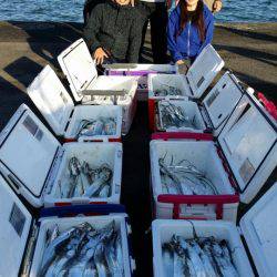 オーフリー 釣果