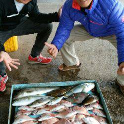 明神釣船 釣果