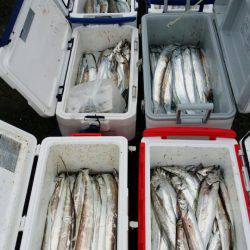 オーフリー 釣果