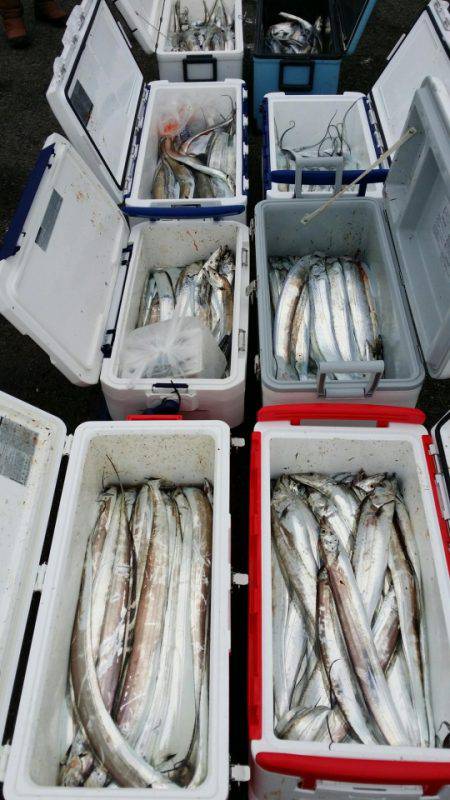 オーフリー 釣果