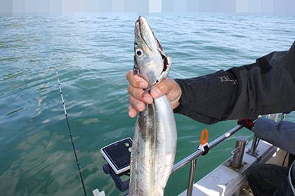 松本釣船２ 釣果