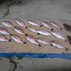 松名瀬フィッシングパーク 釣果