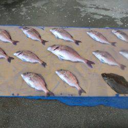 松名瀬フィッシングパーク 釣果