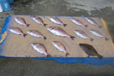 松名瀬フィッシングパーク 釣果