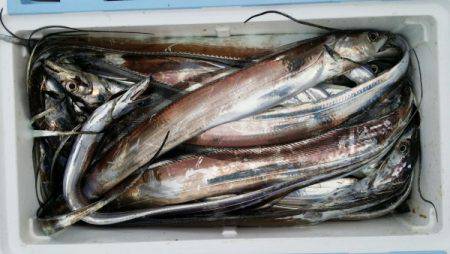 オーフリー 釣果