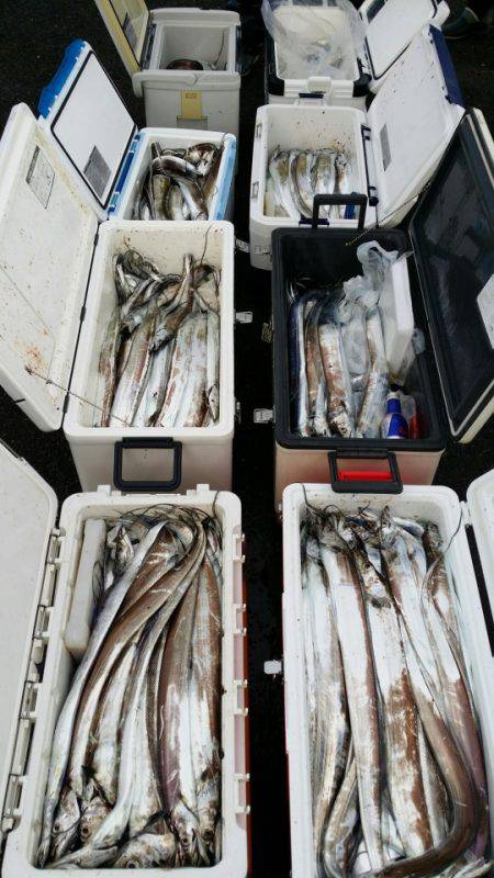 オーフリー 釣果