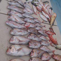 旭星釣りセンター 釣果