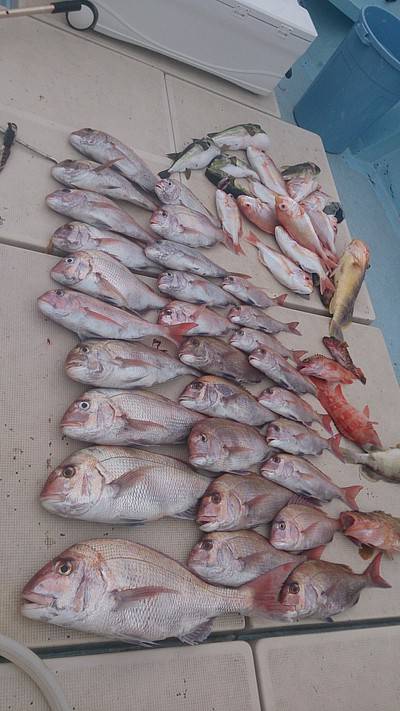 旭星釣りセンター 釣果