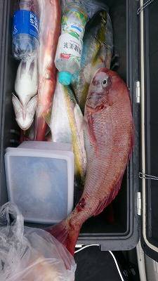 海龍丸(福岡) 釣果