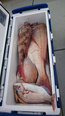 海龍丸(福岡) 釣果