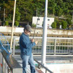 海釣り公園みかた 釣果