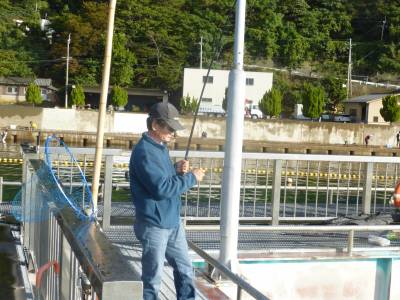 海釣り公園みかた 釣果