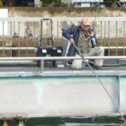 海釣り公園みかた 釣果