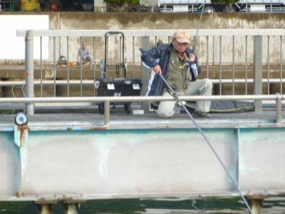 海釣り公園みかた 釣果