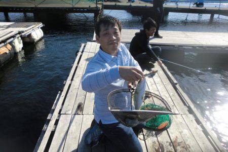 松名瀬フィッシングパーク 釣果