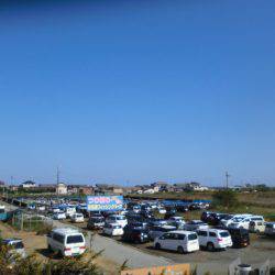 松名瀬フィッシングパーク 釣果