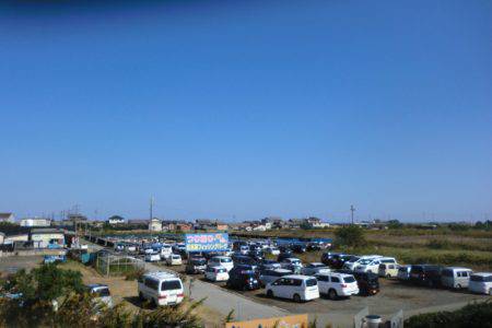 松名瀬フィッシングパーク 釣果