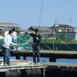 松名瀬フィッシングパーク 釣果