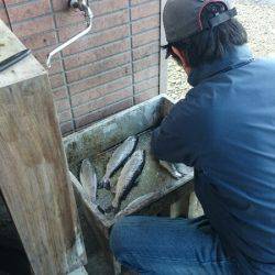 みどりフィッシングエリア 釣果