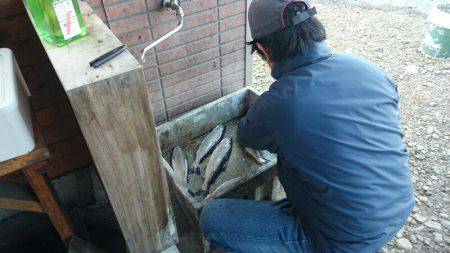 みどりフィッシングエリア 釣果