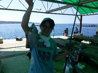 本部釣りイカダ 釣果