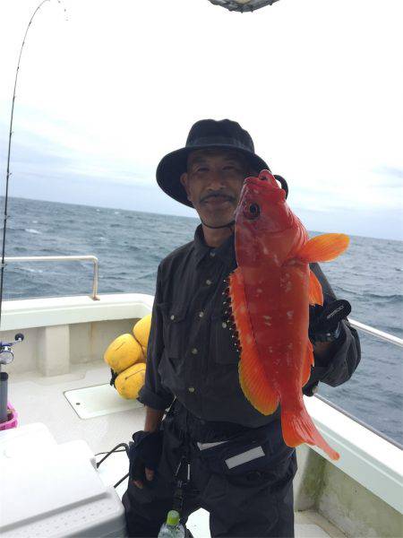 マタウマリンサービス 釣果