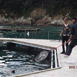 フィッシングパーク錦 釣果