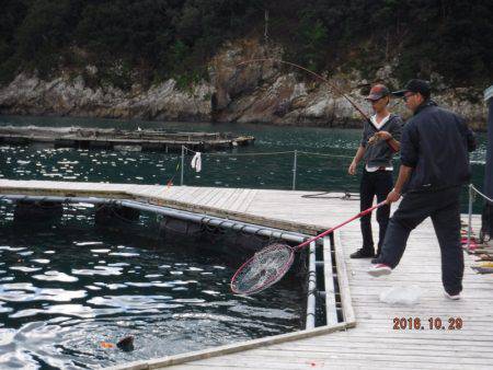 フィッシングパーク錦 釣果