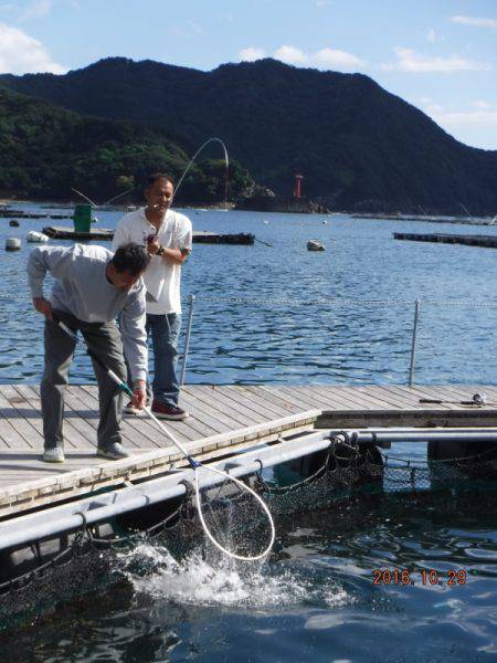 フィッシングパーク錦 釣果