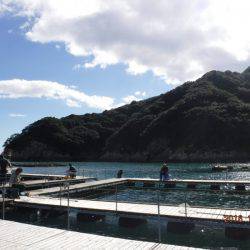 フィッシングパーク錦 釣果