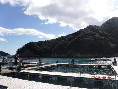 フィッシングパーク錦 釣果