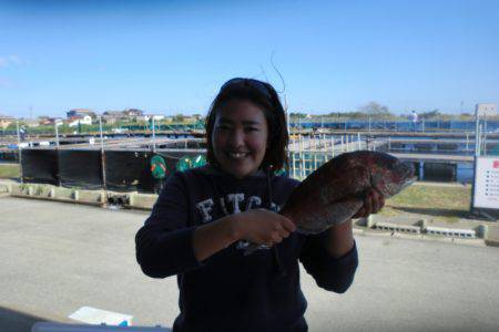 フィッシングパーク錦 釣果