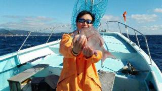 長栄丸(静岡) 釣果