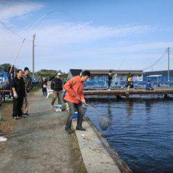 松名瀬フィッシングパーク 釣果